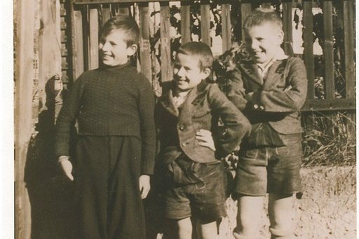 Drei junge Buben stehen vor einem Holzzaun