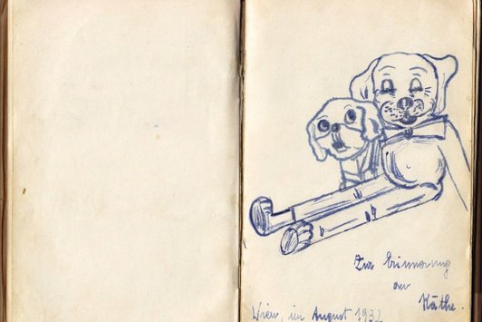 Der Alternativtext wird in Kürze eingefügt