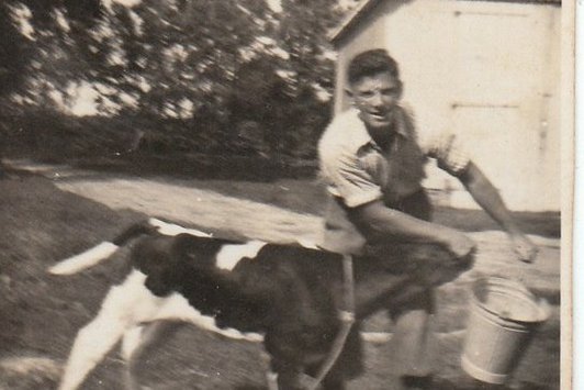 Ein verschwommenes Foto eines Mannes mit einem Tier, welches ein Hund oder ein Kalb sein könnte