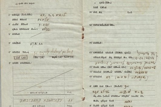 Ein Auszug einer Einreisegenehmigung nach Palästina, auf hebräisch verfasst