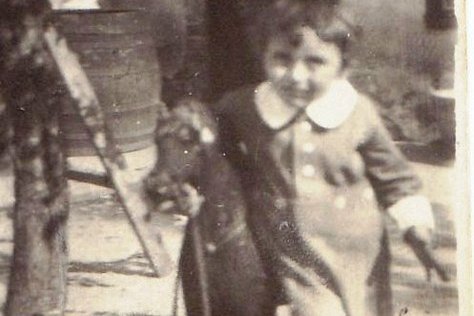 Der Alternativtext wird in Kürze eingefügt