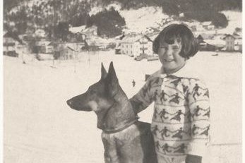 Der Alternativtext wird in Kürze eingefügt