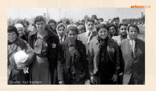 Der Alternativtext wird in Kürze eingefügt