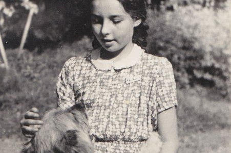 Der Alternativtext wird in Kürze eingefügt